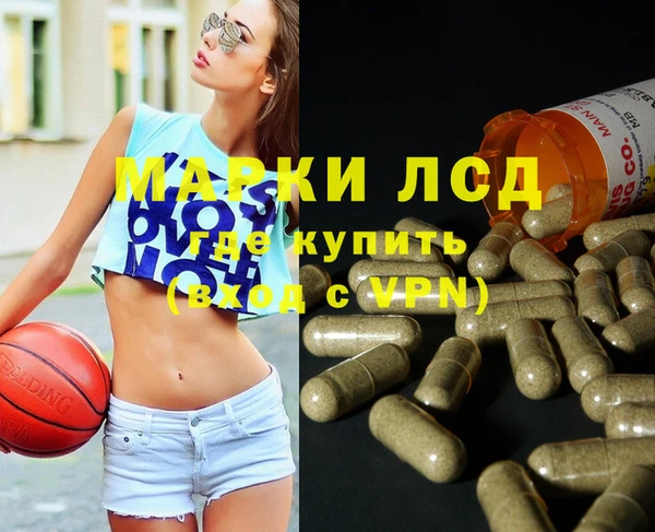 ПСИЛОЦИБИНОВЫЕ ГРИБЫ Верея