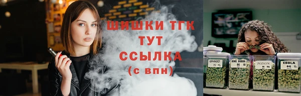 ПСИЛОЦИБИНОВЫЕ ГРИБЫ Верея