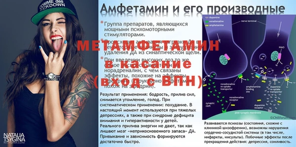 ПСИЛОЦИБИНОВЫЕ ГРИБЫ Верея