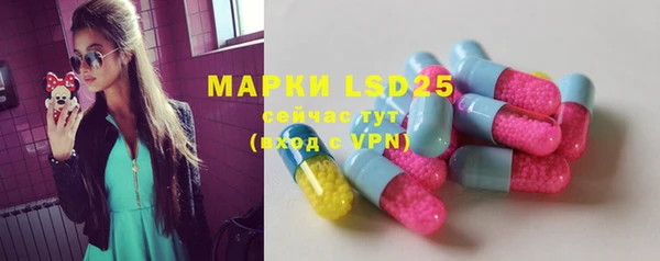 ПСИЛОЦИБИНОВЫЕ ГРИБЫ Верея
