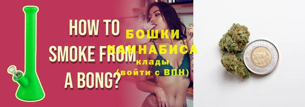 ПСИЛОЦИБИНОВЫЕ ГРИБЫ Верея