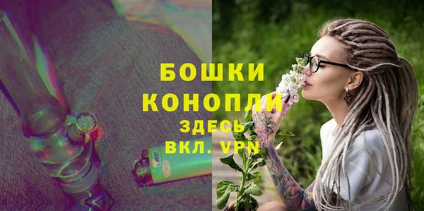 ПСИЛОЦИБИНОВЫЕ ГРИБЫ Верея