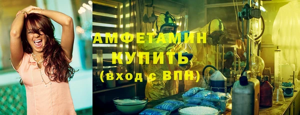 ПСИЛОЦИБИНОВЫЕ ГРИБЫ Верея